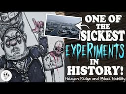 The Conspiracy of HALCYON RIDGE Island and The BLACK NOBILITY || Puppets of the World ILLUSTRATION