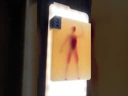 The Coolest Deck of cards I have ever seen! - The Body deck by @Vsauce