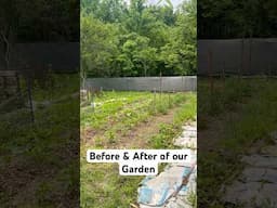 We got our garden planted! Before & after pics of our garden! #homesteadlife #gardening #countrylife