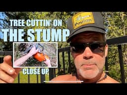 Hazard ⚠️ tree Removal. Up close.