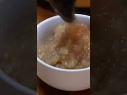 Easy Amazing Homemade Applesauce Recipe