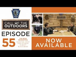 Episode 55: The Bear Necessities