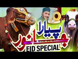 New Eid Special 2025 ||  Piyara Janwar  ||  Mix Eid E Qurban Kallam Collection