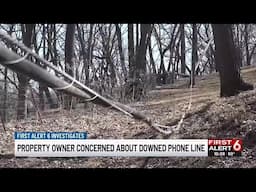 Bellevue property owner concerned about downed phone line