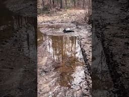Trx6 water plowing!! #madeincanada #rcathletes #traxxasracing