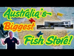 Australia's Biggest Fish Store!!! The Tech Den