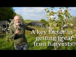 Choosing fruit tree varieties - the importance of pollination groups in abundant fruit production
