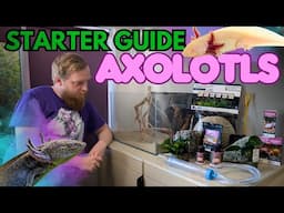 All the information you NEED! How to start an Axolotl aquarium. (Beginners guide)