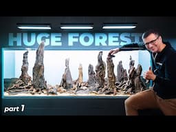 We've built a HUGE FOREST in our BIGGEST Aquarium (Part 1)