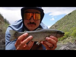 I Biked into the Mountains to Catch Trout | Waterton Canyon, Colorado