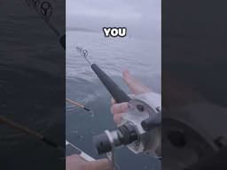 Okuma PCH Custom with Cavalla 12 is a great setup #fishingcalifornia #saltwaterfix