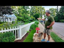 Plants, Paths, and Paws - Griffin Leads the Way on a Neighborhood Garden Tour