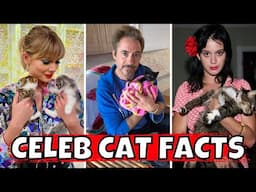 15 Facts About Celebrities’ Cats You Won’t Believe!