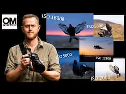 Tips for OM System in Low Light | High ISO | DxO PureRaw 5