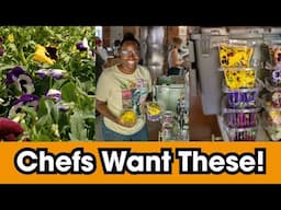 How to Harvest Edible Flowers and Store Them for Maximum Freshness