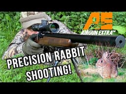Airgun Extra | Precision rabbit shooting at dusk | Precihole spring airgun review