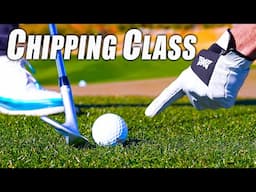 EVERYTHING You Ever Wanted to Know about Chipping in One Video!