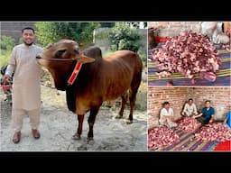 My Eid Day Routine 😰 | Gosht Kitna Nikala ?