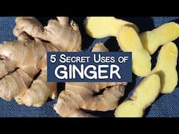 5 Secret Uses of Ginger Root