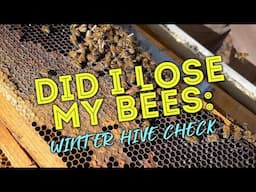 Did I Lose My Bees: Cora's Anel hive has not shown any activity this winter.