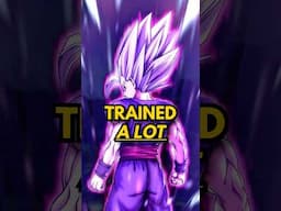 Gohan’s SECRET Training