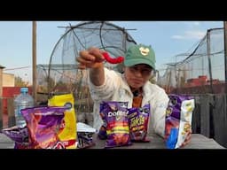 ECUATORIANA Prueba SNACKS Mexicanos / NANCY RISOL