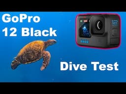 How deep can a GoPro go with no dive case?