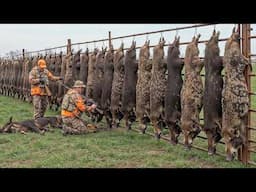 The Wild Boar Crisis: 7.9 Million Pigs on the Attack 💥 The Real-Life War on the Farm
