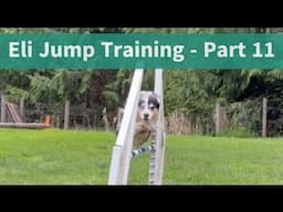 Eli Jump Training - Part 11 - Backside Slice 1