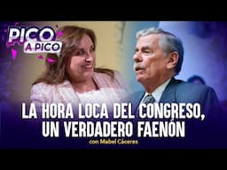 La hora loca del Congreso, un faenón de leyes a su favor | Pico a Pico con Mabel Cáceres