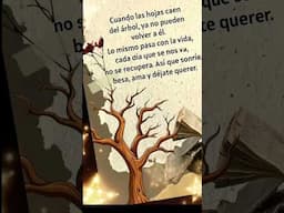 Lo importante!🌳