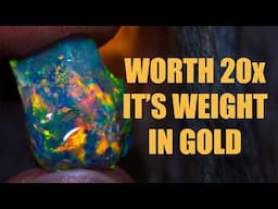 $2000 Uncut Gem Rough Opal - Straight From a New Mine!