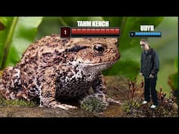 why kenchu catch me?