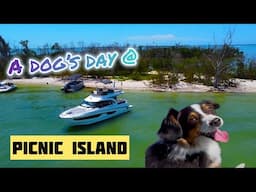 Fun Day Anchoring at Picnic Island