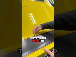 Original 1970 Buick GSX Spoiler Stripes