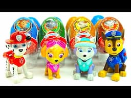 Сюрпризы и игрушки с героями мультика Щенячий Патруль