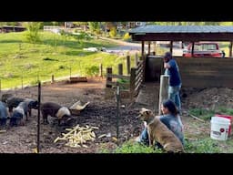 It’s a Beautiful Day | Homestead Vlog | April 25, 2025