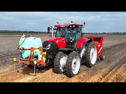 Aardappelen poten met Grimme GL420 en Case Puma 175. Booman.   4K.
