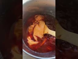 Dyeing with Plants: Onion Skins 🧅 #naturaldye #fiberarts