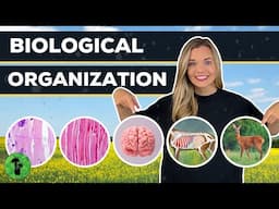 Biological Organization | Cell to Organism