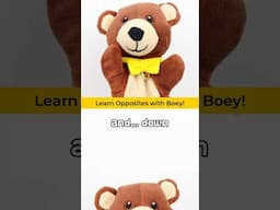 ⬆️ Up... and DOWN! ⬇️ Learn to talk with Boey Bear 🐻 #toddlers #shorts #kids