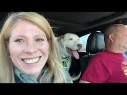 Home Vlog: Morning Chats & kitty Cats | Buddy Sees his Specialist! Life With Favor