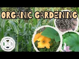 Organic Gardening for Large Gardens | Useful Knowledge