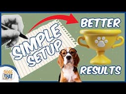 Seamless Dog Training Sessions Start With This Simple Setup Plan