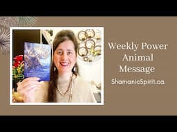 Apr 19-25, 2025: Weekly Power Animal Message And Crystal Healing Talisman. Moose Symbolism