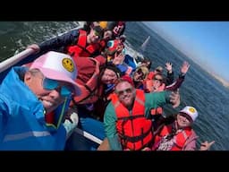 Earth Quest with the baby gray whales in Baja