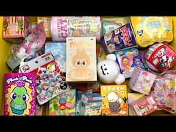 72 minutes of mystery surprise blind boxes Labubu Real vs Fake Pop Mart, Sanrio ASMR Unboxing Sounds