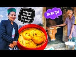 || Cow milking by hands|| Fresh Cow Milk || Rasmalai Recipe|| Kinnaur HP ||