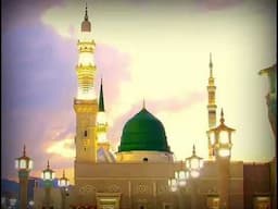 إلزم الباب ان عشقت الجمال! المنشد محمد الخير