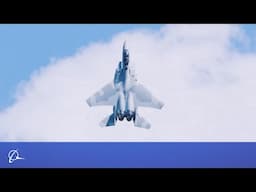 Welcome to Fighterland U.S.A.